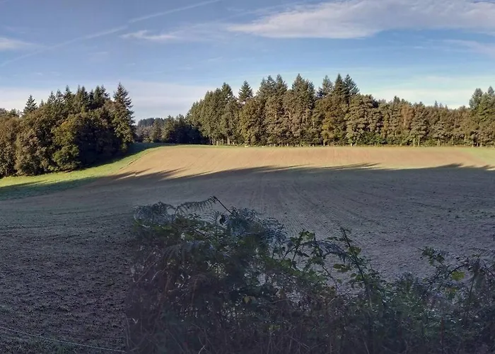 Le Cosy Apartman Sousceyrac